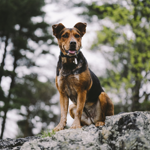 Fundraising Page: Julia Kester